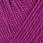 Preview: Catania phlox von Schachenmayr
