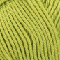 Preview: Catania Trend 2021 fresh basil