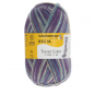Preview: 4-fädig color stelvio pass color 100g von Regia