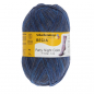 Preview: 4-fädig color party color 100g von Regia