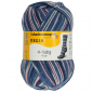 Preview: 4-fädig color eternal color 100g von Regia