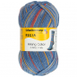 Preview: 4-fädig color viewpoint color 100g von Regia