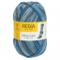 Preview: 4-fädig color protokoll color 100g von Regia