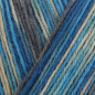 Preview: 4-fädig color protokoll color 100g von Regia