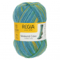 Preview: 4-fädig color wasserpark color 100g von Regia