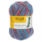 Preview: 4-fädig color schwimmbad color 100g von Regia