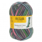 Preview: 4-fädig color shoppingtour color 100g von Regia