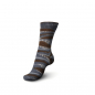 Preview: 4-fädig color hudson heights color 100g von Regia