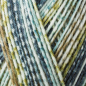 Preview: 4-fädig color sage color 100g von Regia