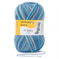 Preview: 4-fädig color water color 100g von Regia