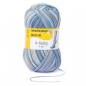 Preview: 4-fädig color sylt color 100g von Regia