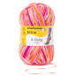 Preview: 4-fädig color papagei color 100g von Regia