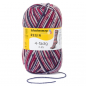 Preview: 4-fädig color skimütze color 100g von Regia