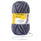 Preview: 4-fädig color schneestern color 100g von Regia