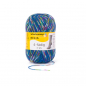 Preview: 4-fädig color woodstock color 100g von Regia