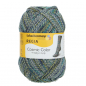 Preview: 4-fädig color asteroid color 100g von Regia