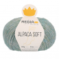 Preview: REGIA PREMIUM Alpaca Soft mint meliert