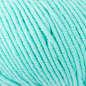 Preview: Merino Extrafine 120 mint von Schachenmayr