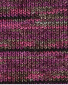 Bravo beere color von Schachenmayr