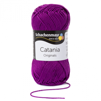 Catania phlox von Schachenmayr
