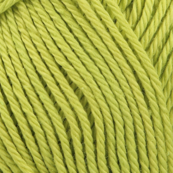 Catania Trend 2021 fresh basil