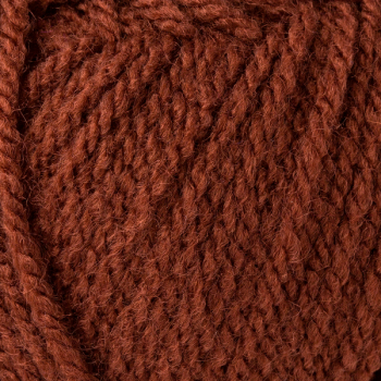 Preview: Bravo braun von Schachenmayr