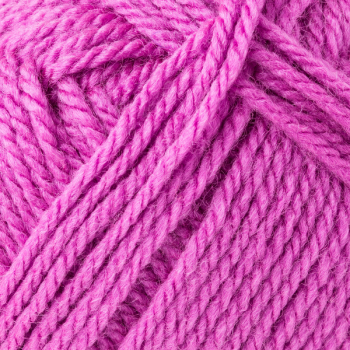 Preview: Bravo dahlie von Schachenmayr