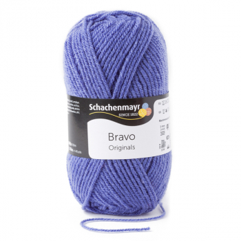 Bravo aster von Schachenmayr