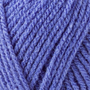 Preview: Bravo aster von Schachenmayr