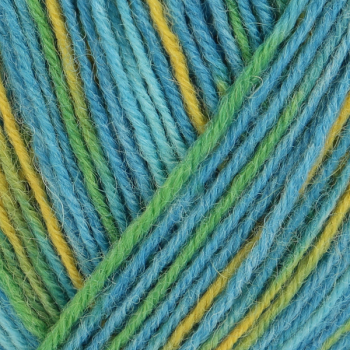 Preview: 4-fädig color wasserpark color 100g von Regia