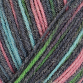 Preview: 4-fädig color shoppingtour color 100g von Regia