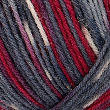 Preview: 4-fädig color riverdale color 100g von Regia