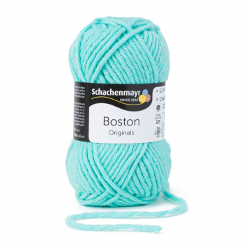 Boston mint von Schachenmayr