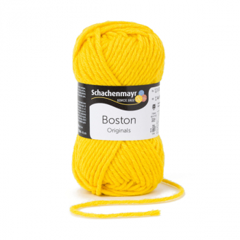 Boston quitte von Schachenmayr