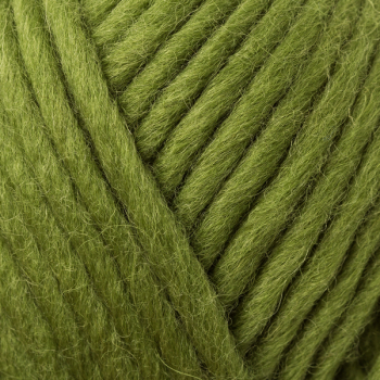 Preview: Wash+Filz it! olive