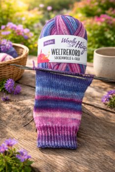 Woolly Hug - Weltrekord Sockenwolle Farbe 04