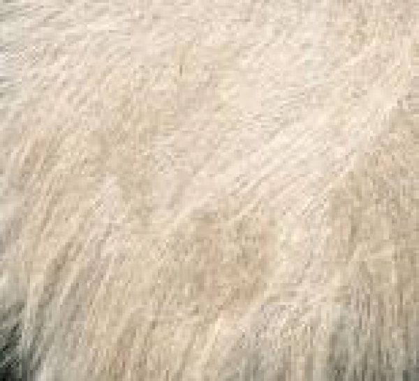 Pompon grau von Schachenmayr