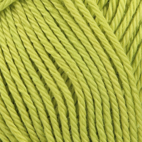 Catania Trend 2021 fresh basil