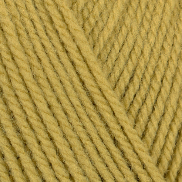 Bravo grashüpfer von Schachenmayr