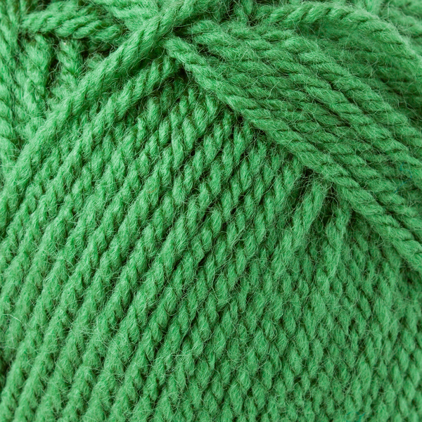 Bravo farn von Schachenmayr