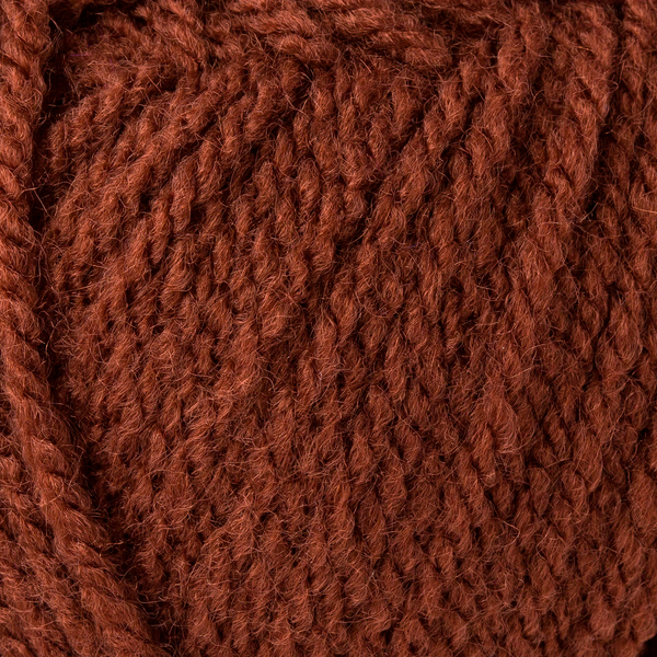 Bravo braun von Schachenmayr