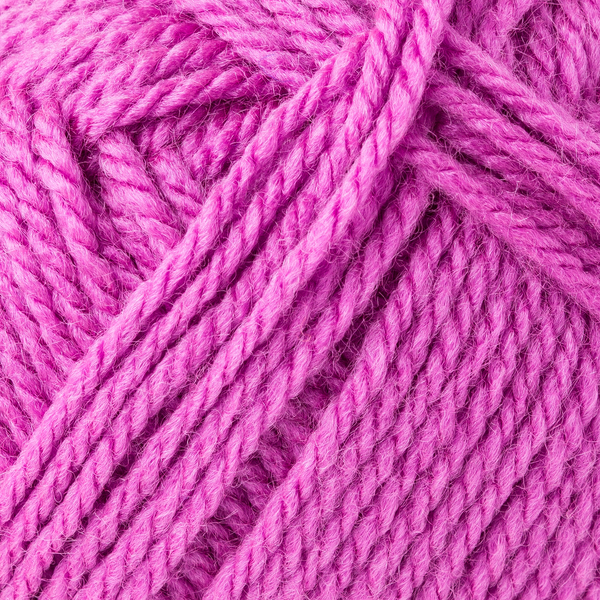 Bravo dahlie von Schachenmayr