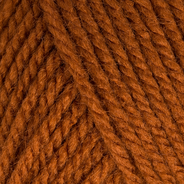 Bravo fuchs von Schachenmayr