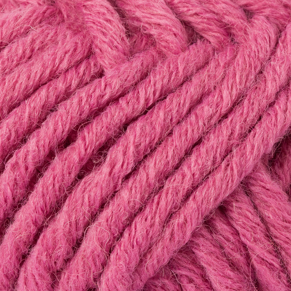 Boston himbeere von Schachenmayr