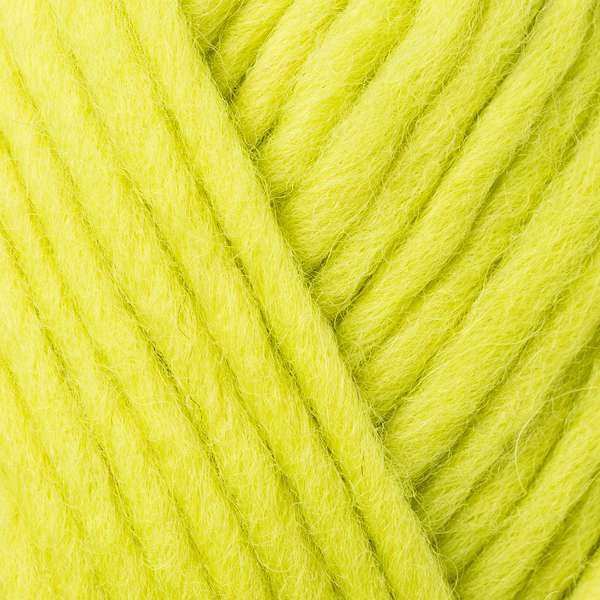 Wash+Filz it! zitronat